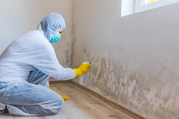 Bathroom Mold Removal assessment in Seven Valleys bathroom